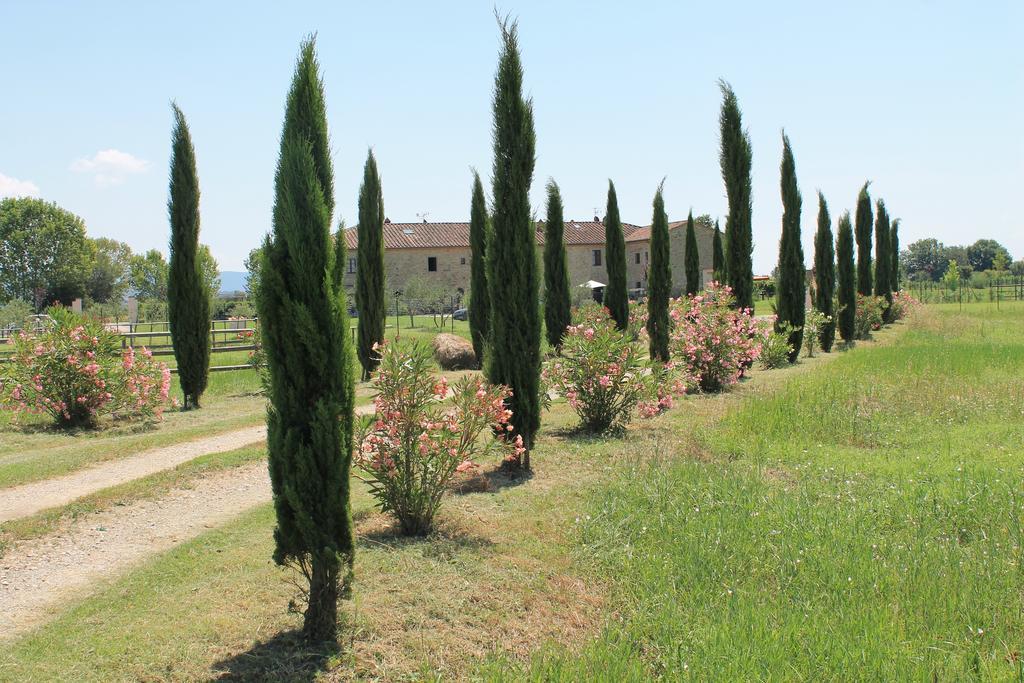 Il Grifone A Cortona Residence Zewnętrze zdjęcie