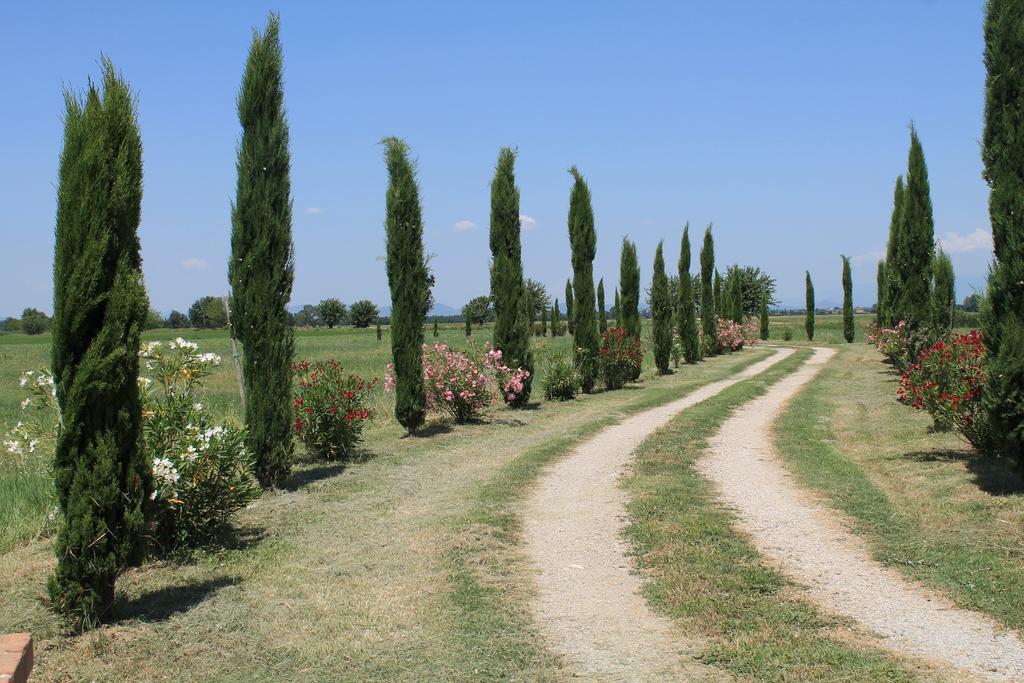 Il Grifone A Cortona Residence Zewnętrze zdjęcie
