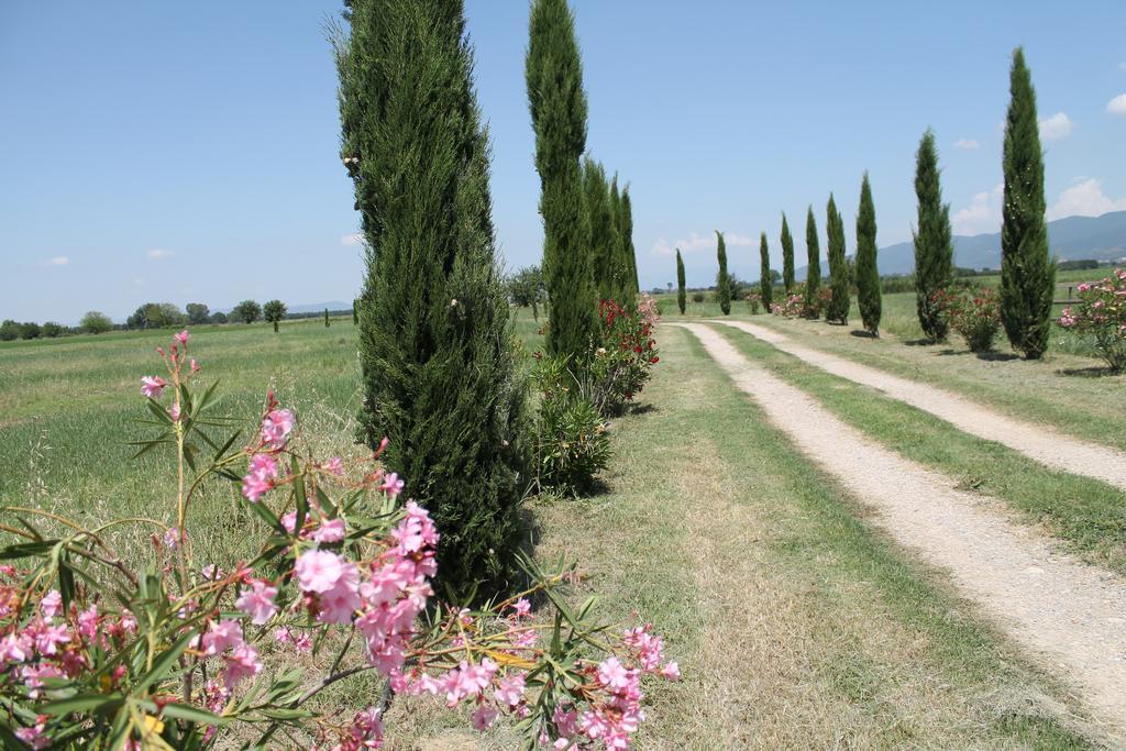 Il Grifone A Cortona Residence Zewnętrze zdjęcie