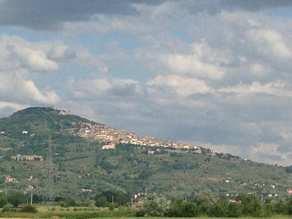 Il Grifone A Cortona Residence Zewnętrze zdjęcie