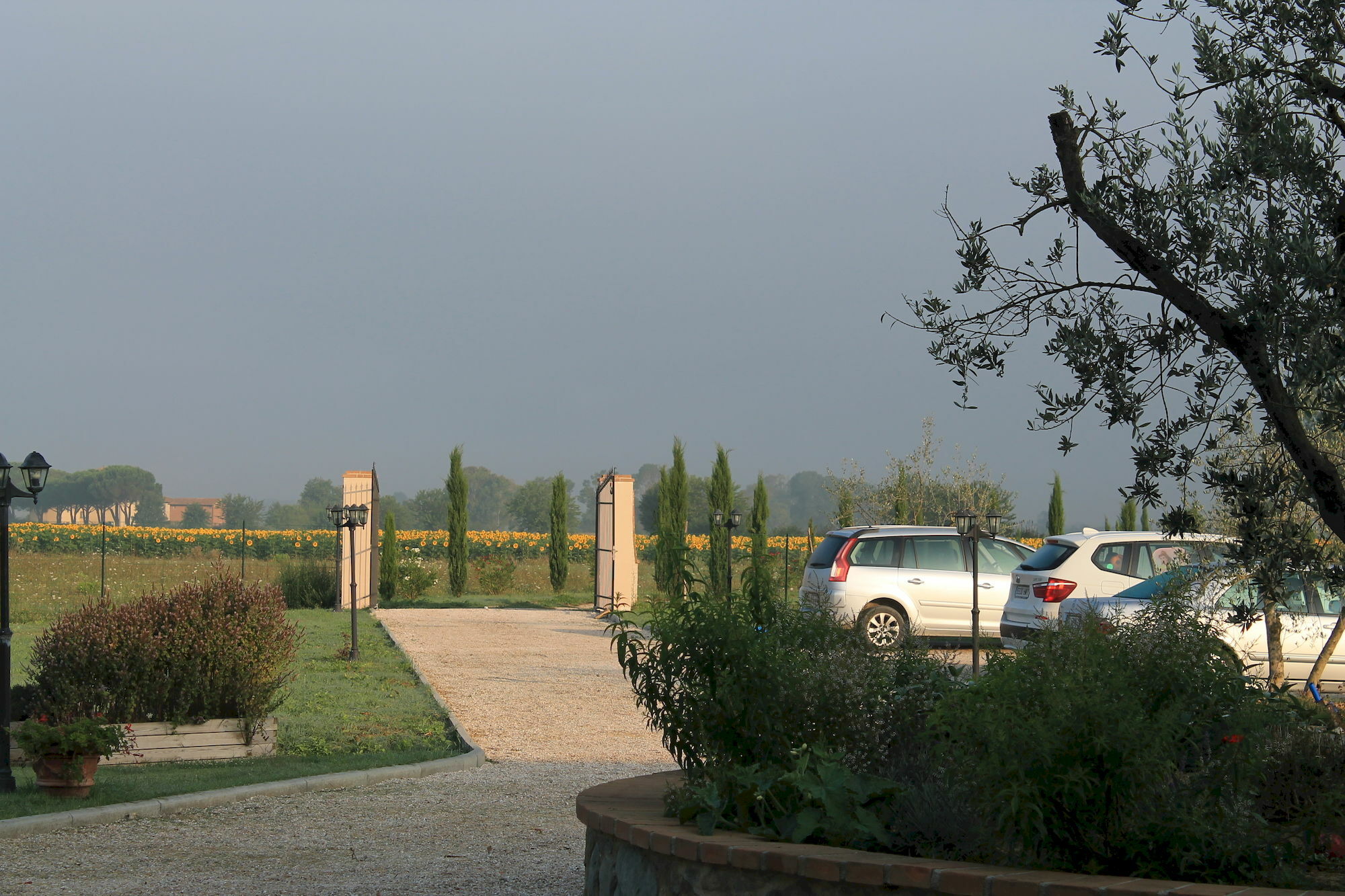 Il Grifone A Cortona Residence Zewnętrze zdjęcie